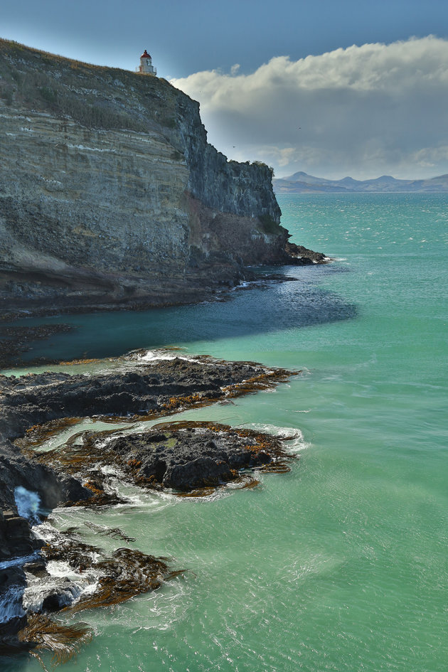 Taiaroa Head