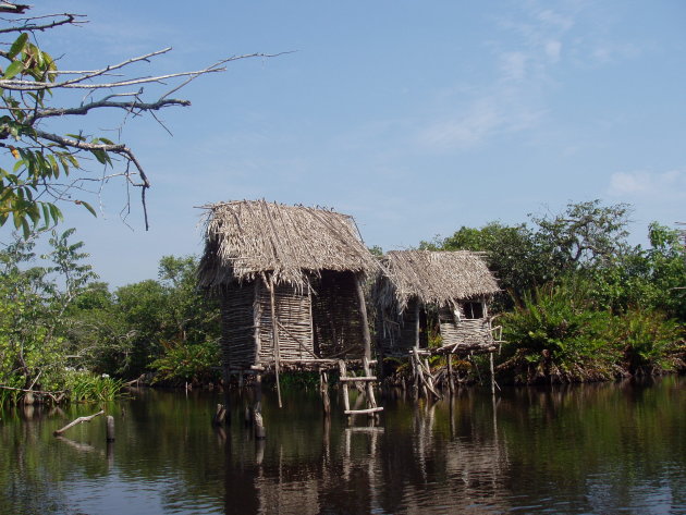 Jungletour San Blas