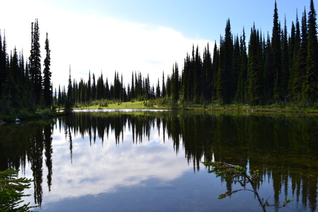 Mount Revelstoke National Park