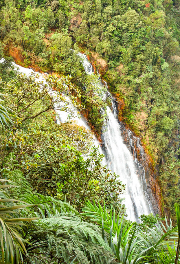  Parque Nacional Alejandro de Humbold