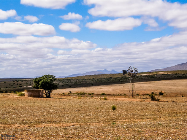 De droogte in de Karoo