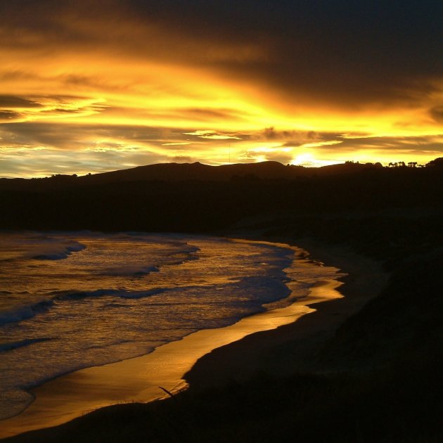 Otago peninsula