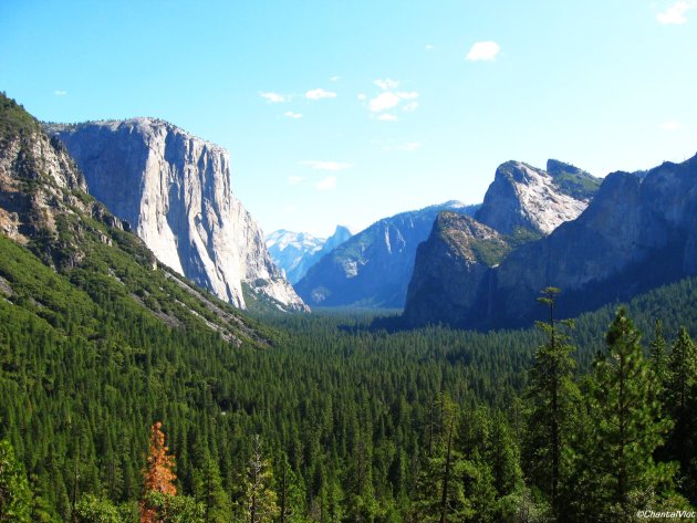 Yosemite NP!