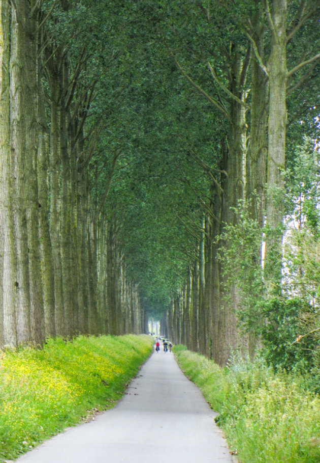 Langs de Damse vaart