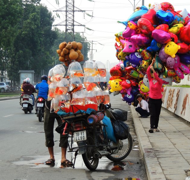 Aquarium-brommer en ballonnen. 