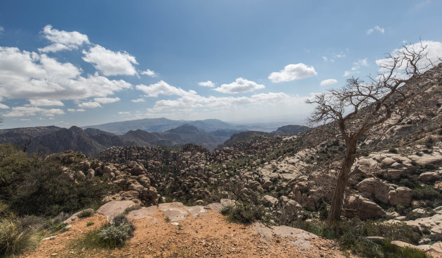 Vergezichten in Dana Reserve