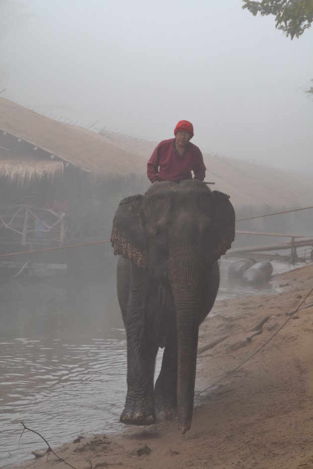 washing time, River Kwai