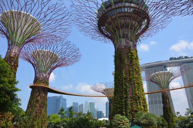 De bijzondere tuinen van Gardens by the Bay