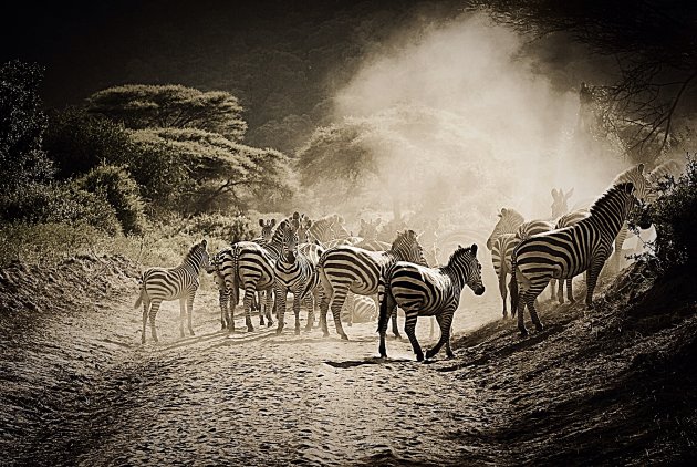 Dit noem ik nu een zebra crossing