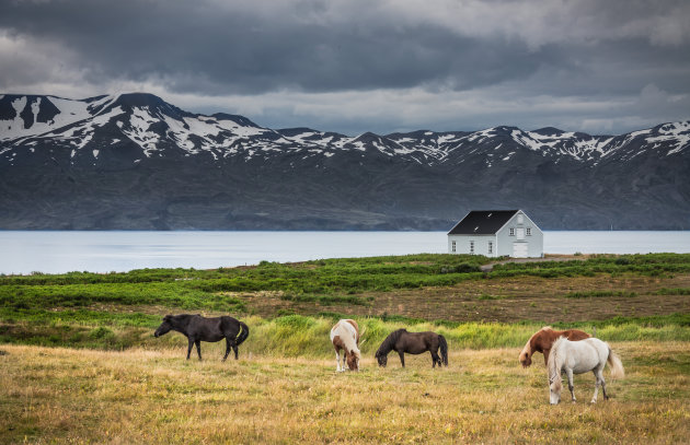 Typisch IJsland