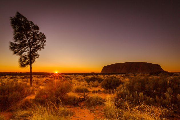 Uluru bij zonsopkomst