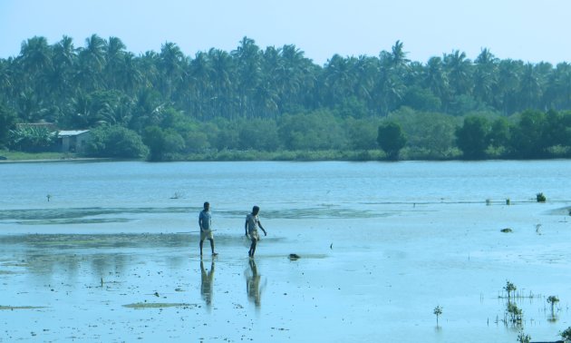 Walking on water?