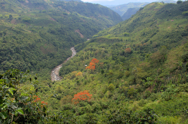 Rio Magdalena