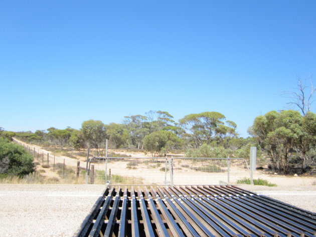 The Nullarbor: dogfence