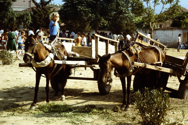 Op de markt