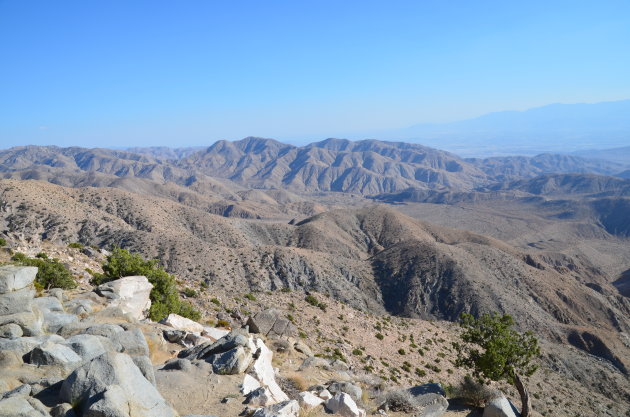 Joshua Tree National Park