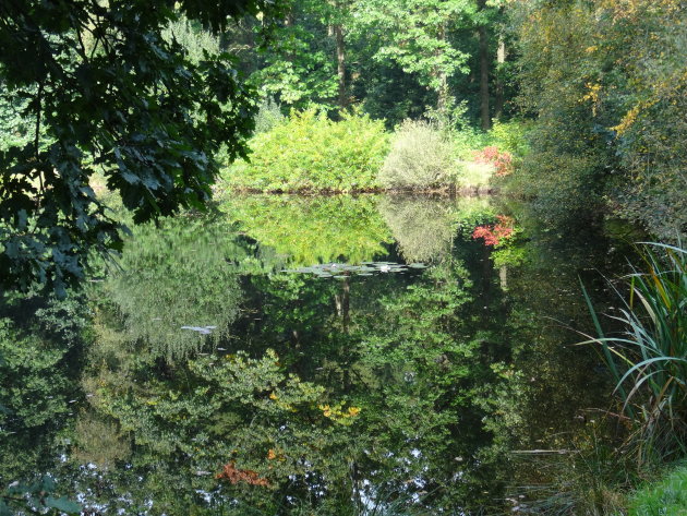 Een bijzonder stukje natuur