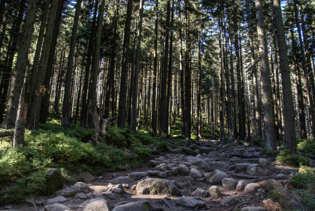 wandeling naar de Brocken