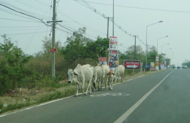 Op weg naar huis