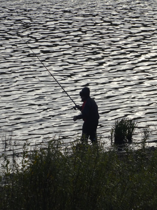 Vissen in de Dvina