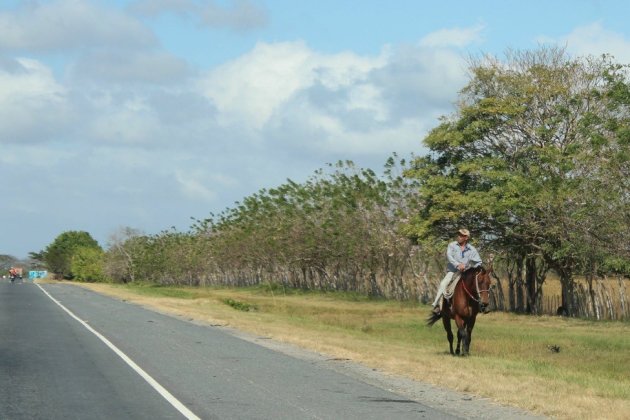 Te paard