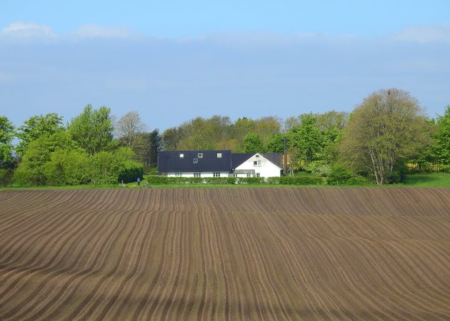 Fietsen in Denemarken. 