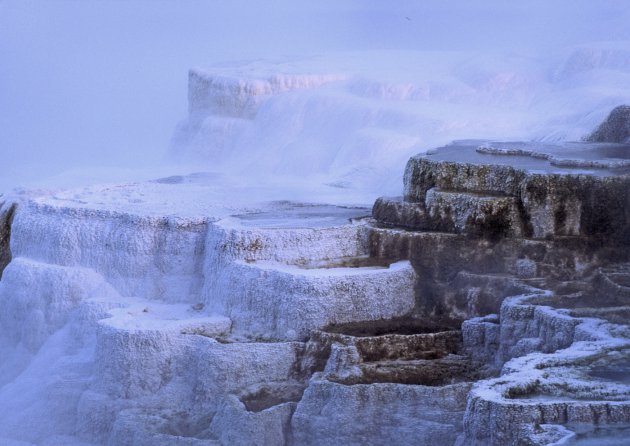 Het Minerva terras in het Mammoth Hot Springs gebied van Yellowstone National Park. 