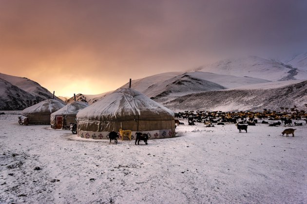 Winter is coming - op zoek naar nomaden in Tsast Uul gebergte