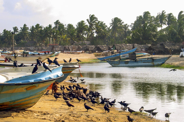 Binnenhaventje Arugam baai Sri Lanka ( scan)