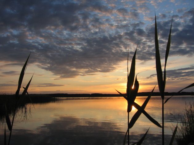 wandelen in natuurgebied 