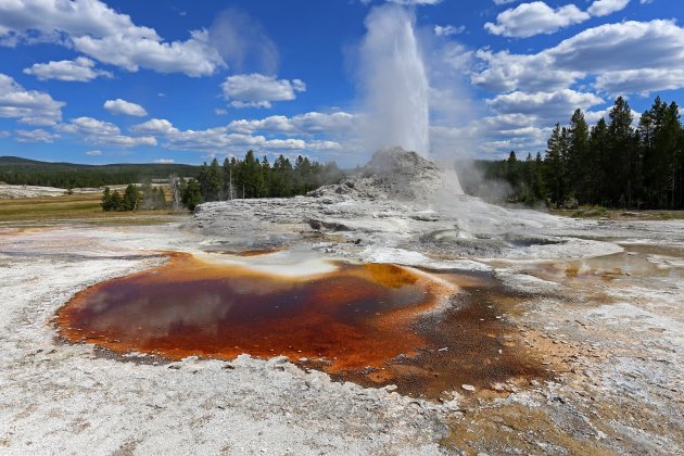 Geiser in Yellowstone N.P.