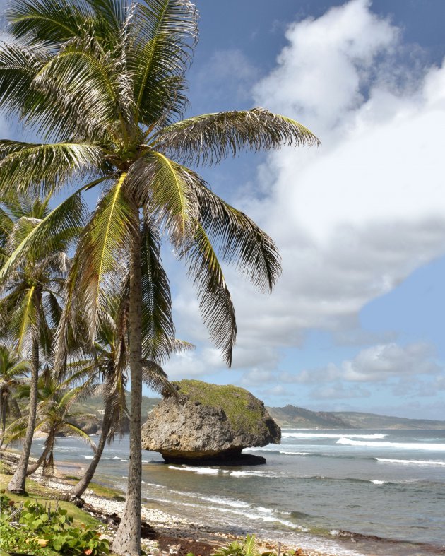 Bathsheba strand