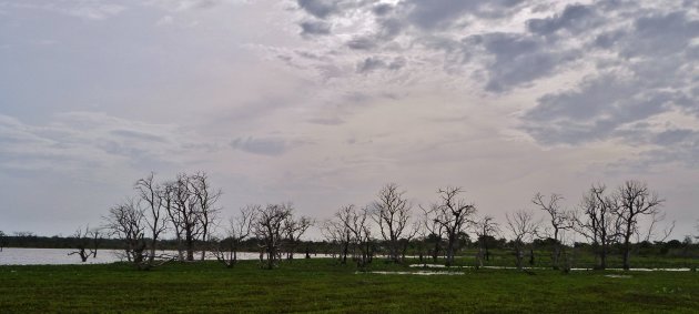 Kataragama lake