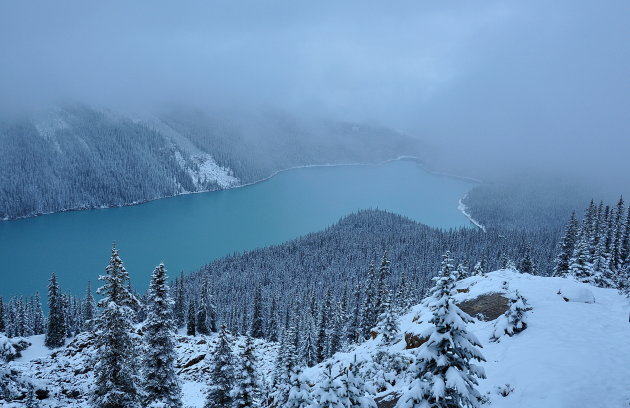 Blauw halfuurtje bij Peyto Lake !