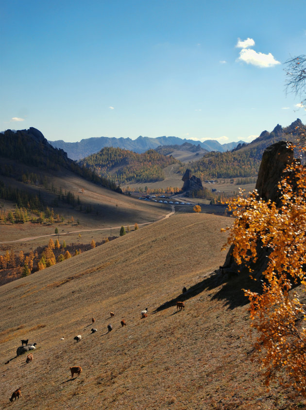 Zicht op Terelj NP Mongolië