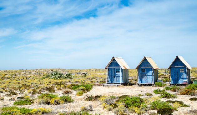 Schuurtjes op natuureiland voor de stad