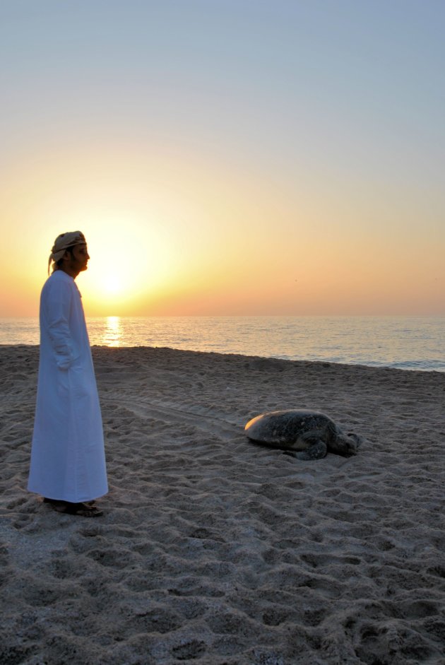 De reuzenschildpadden van Ras al Jinz