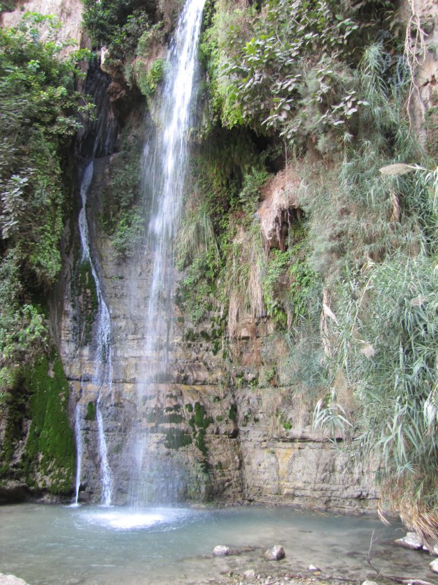 Waterval van Ein Gedi