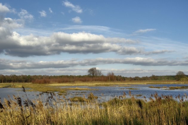 Natuurherstel Kettingdijk