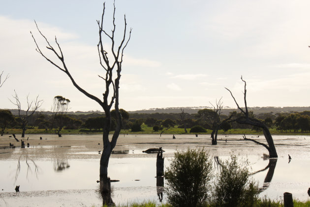 Onderweg op Kangaroo Island