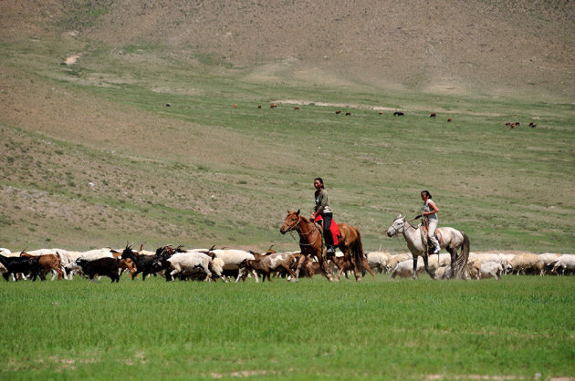 Herderinnen te paard