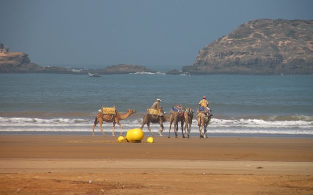 Heiig in Essaouira !