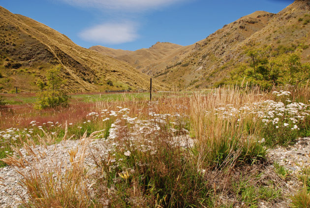 Ongerepte natuur