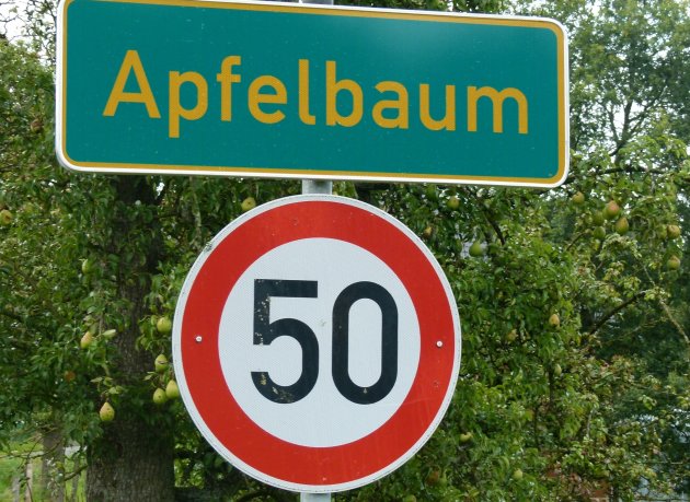 Appelboom?