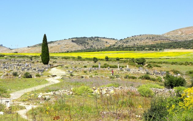 Volubilis