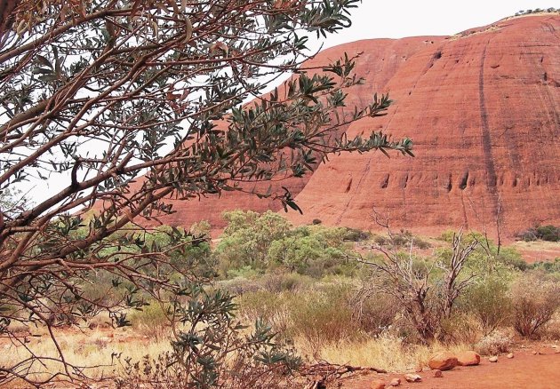 Uluru