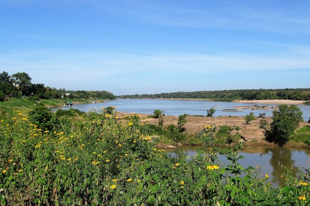 Bloemen langs de rivier.