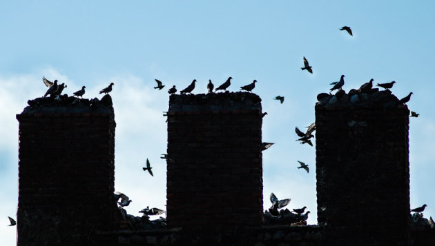 Castello Scaligero di Sirmione