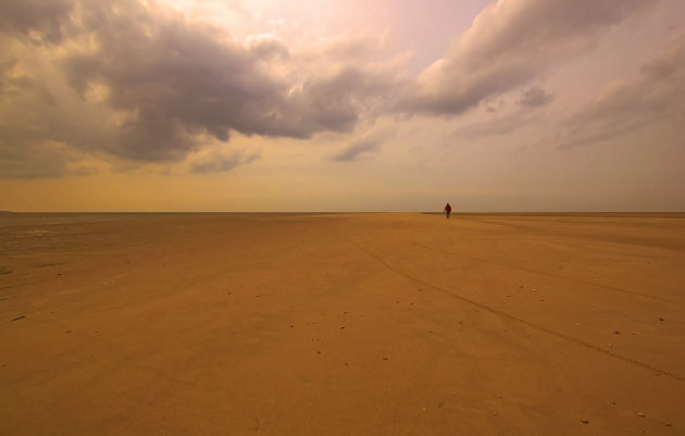 Vliehors  de Sahara van het noorden