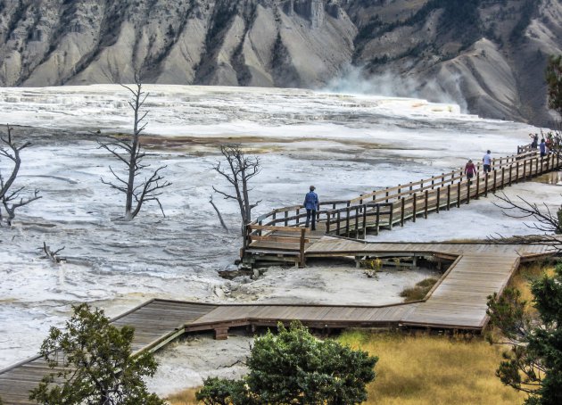 Mammoth Hot Springs